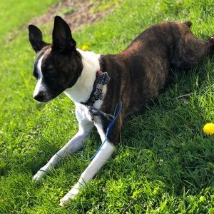 Meet your Posher, Sydney